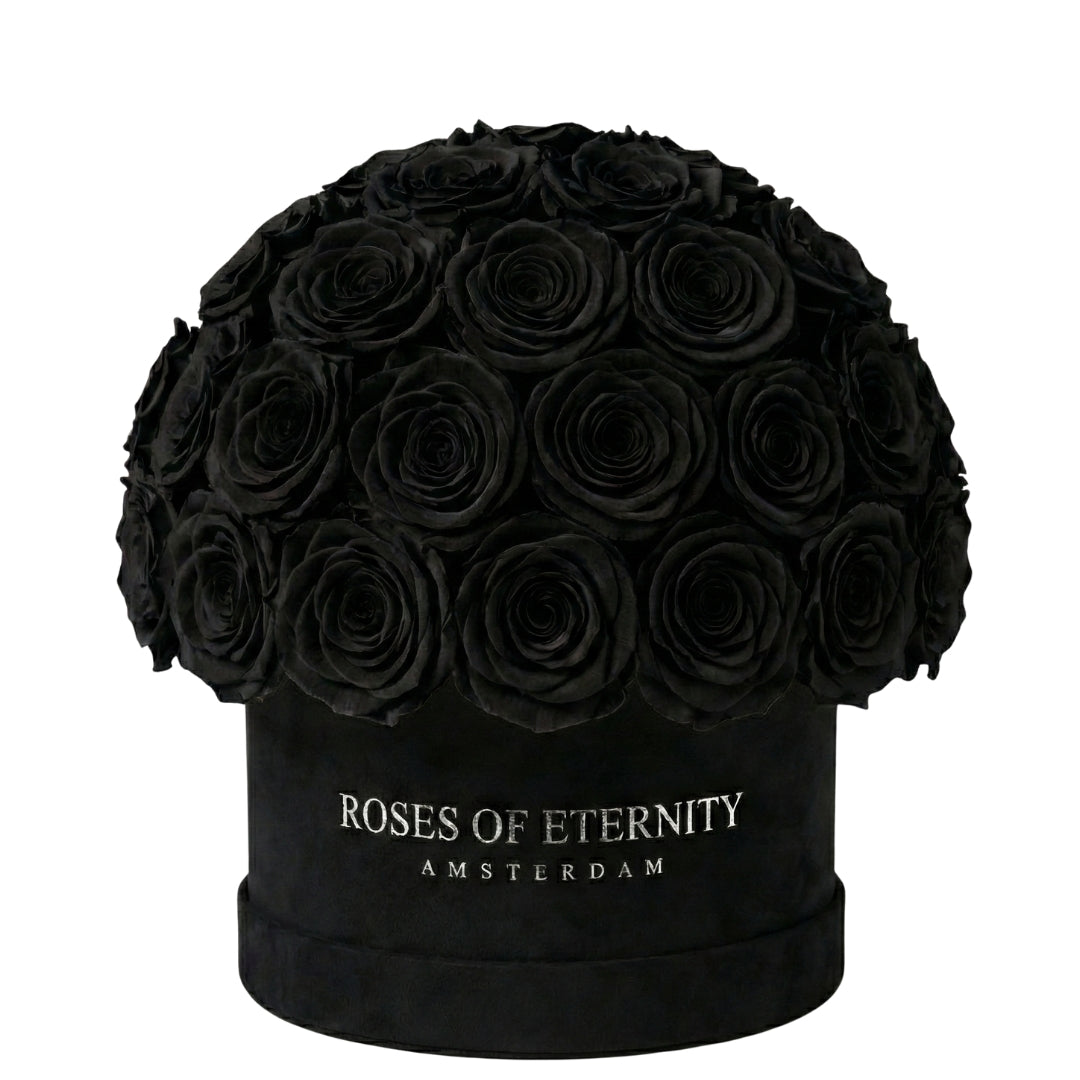 Infinite Promise (M)