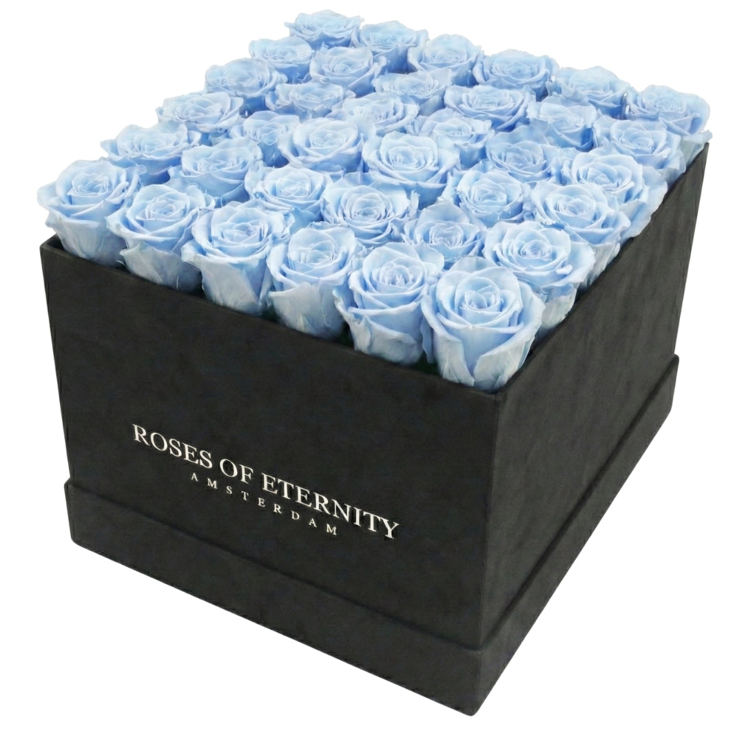 Squared Eternity (L)