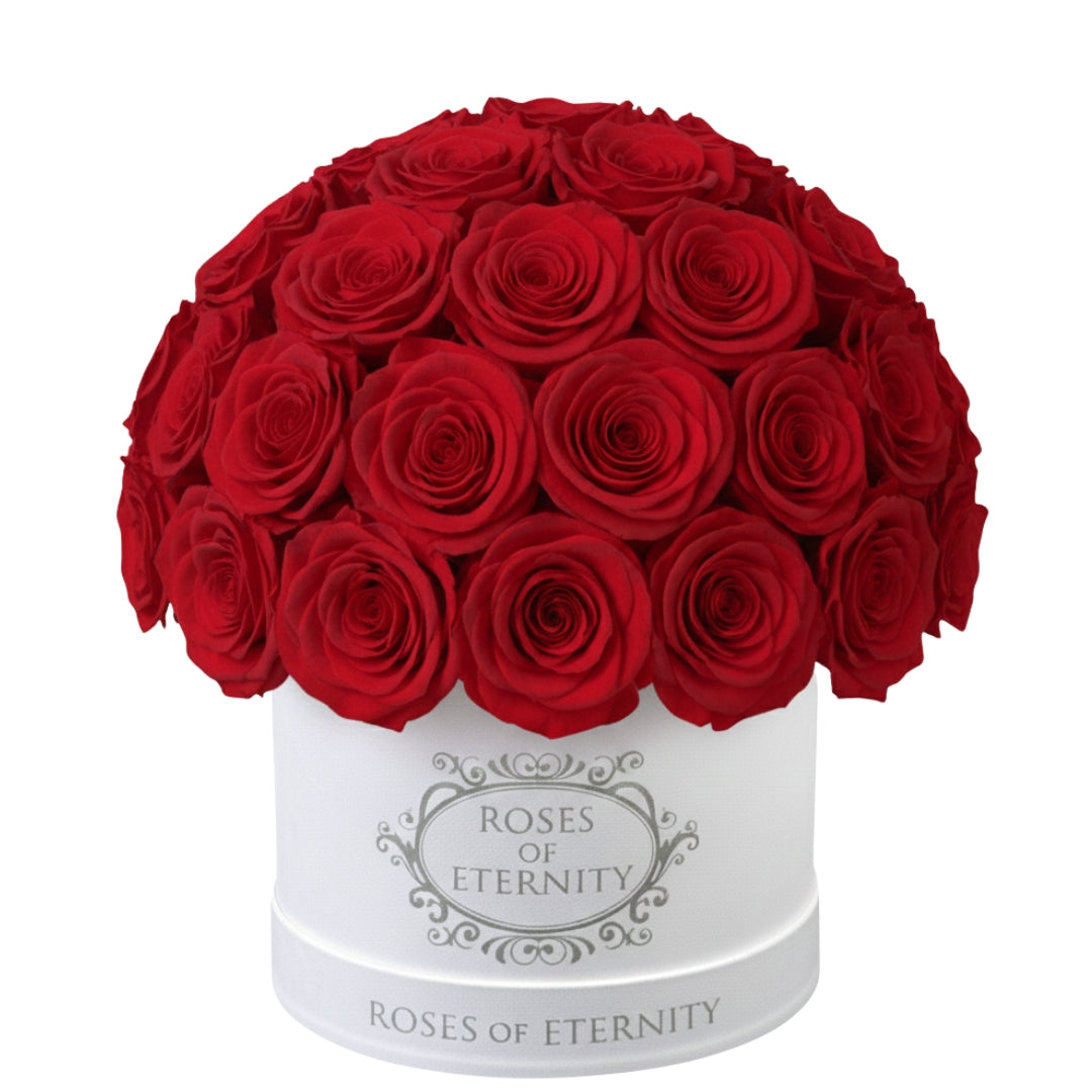 Infinite Promise (M)