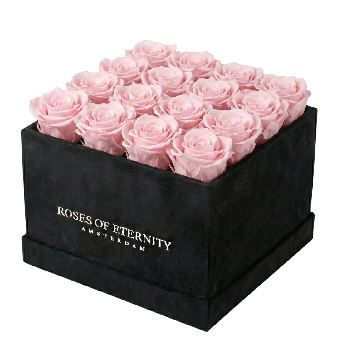 Squared Eternity (M)