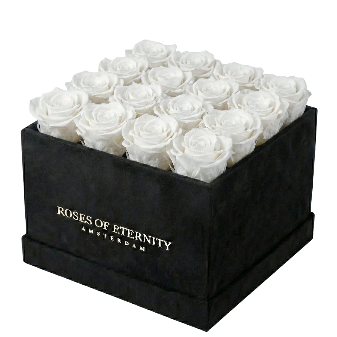 Squared Eternity (M)