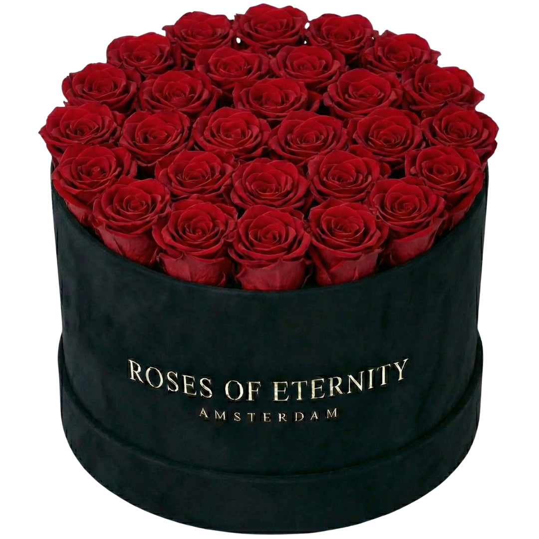 Infinite Promise Flat (L)