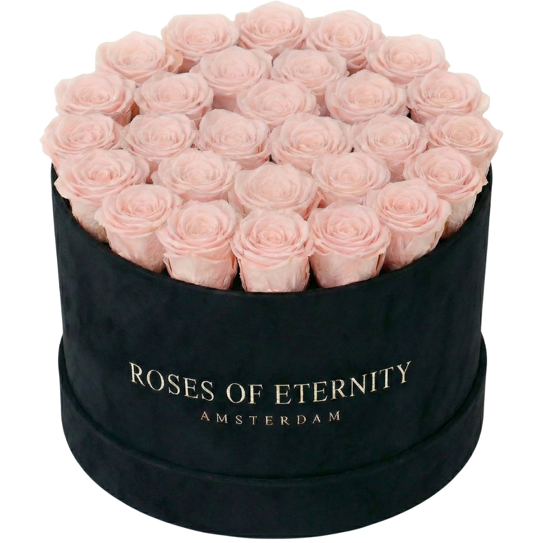 Infinite Promise Flat (L)