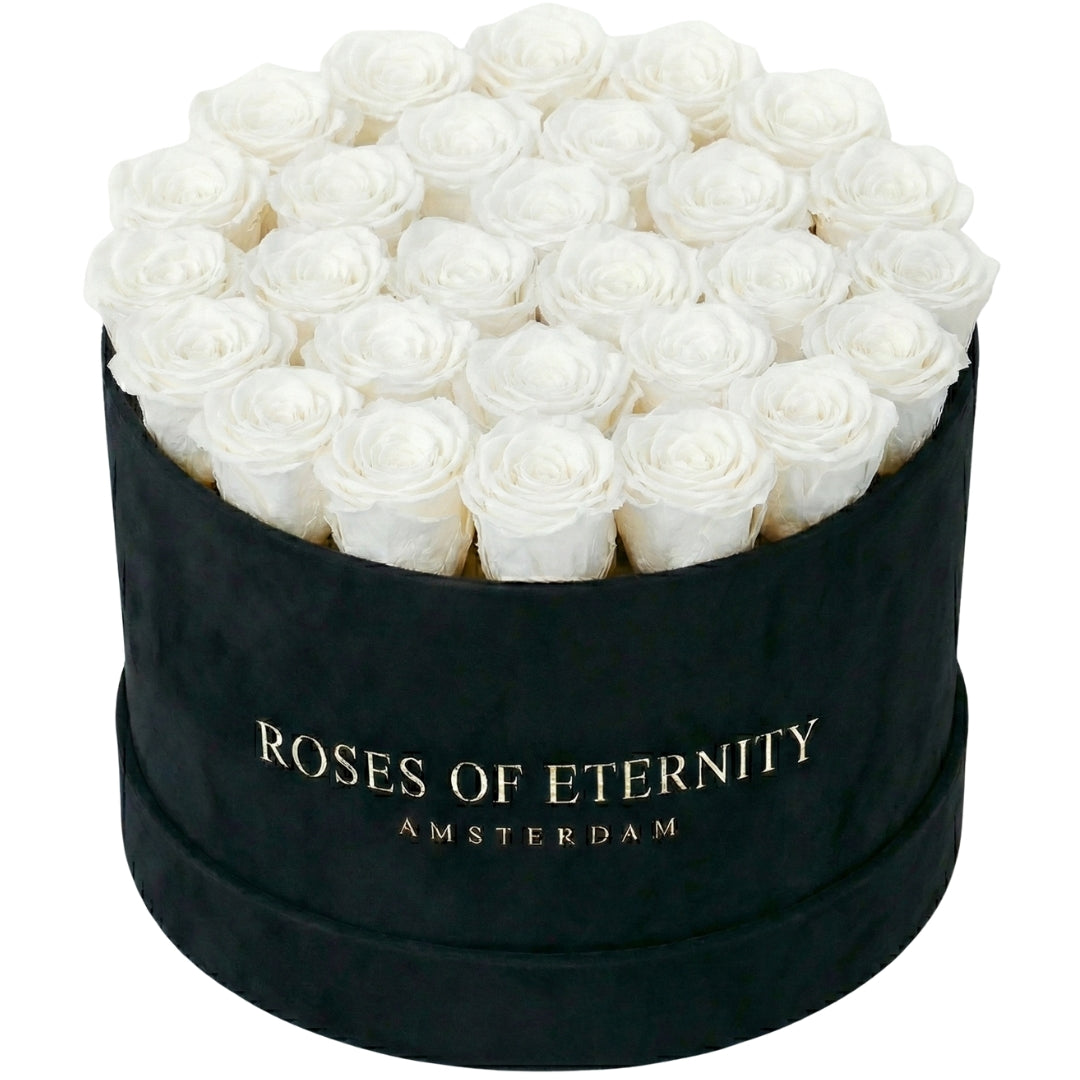 Infinite Promise Flat (L)