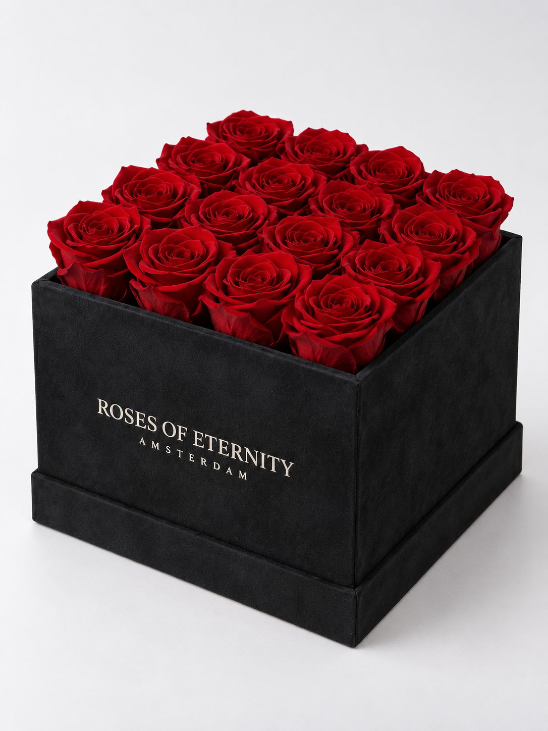 Squared Eternity (M)