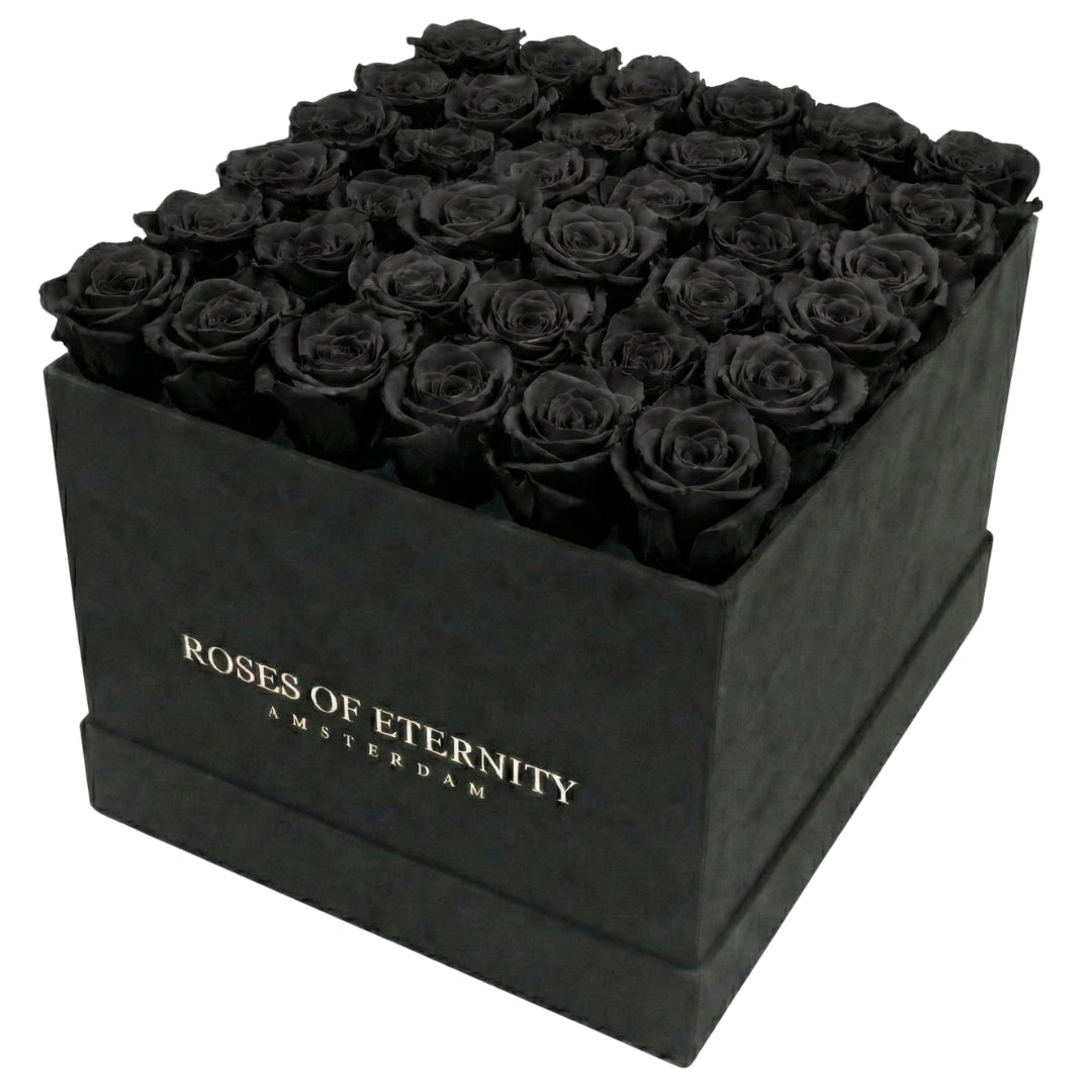 Squared Eternity (L)