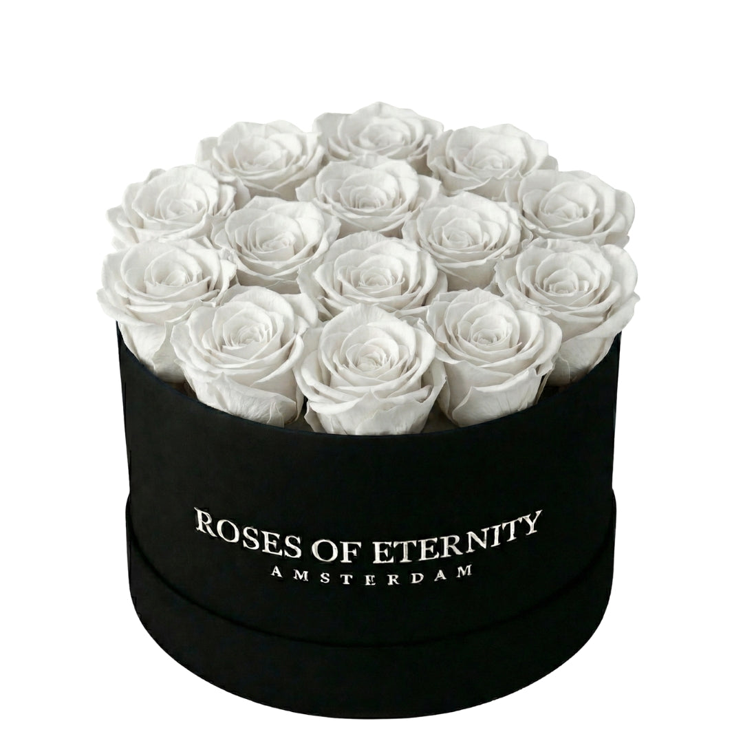 Infinite Promise Flat (M)