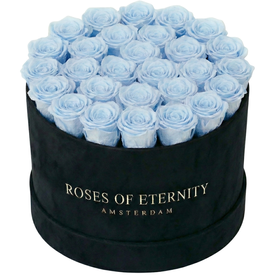 Infinite Promise Flat (L)