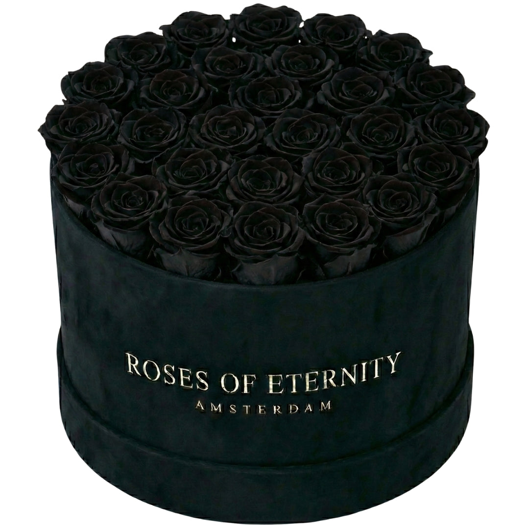 Infinite Promise Flat (L)