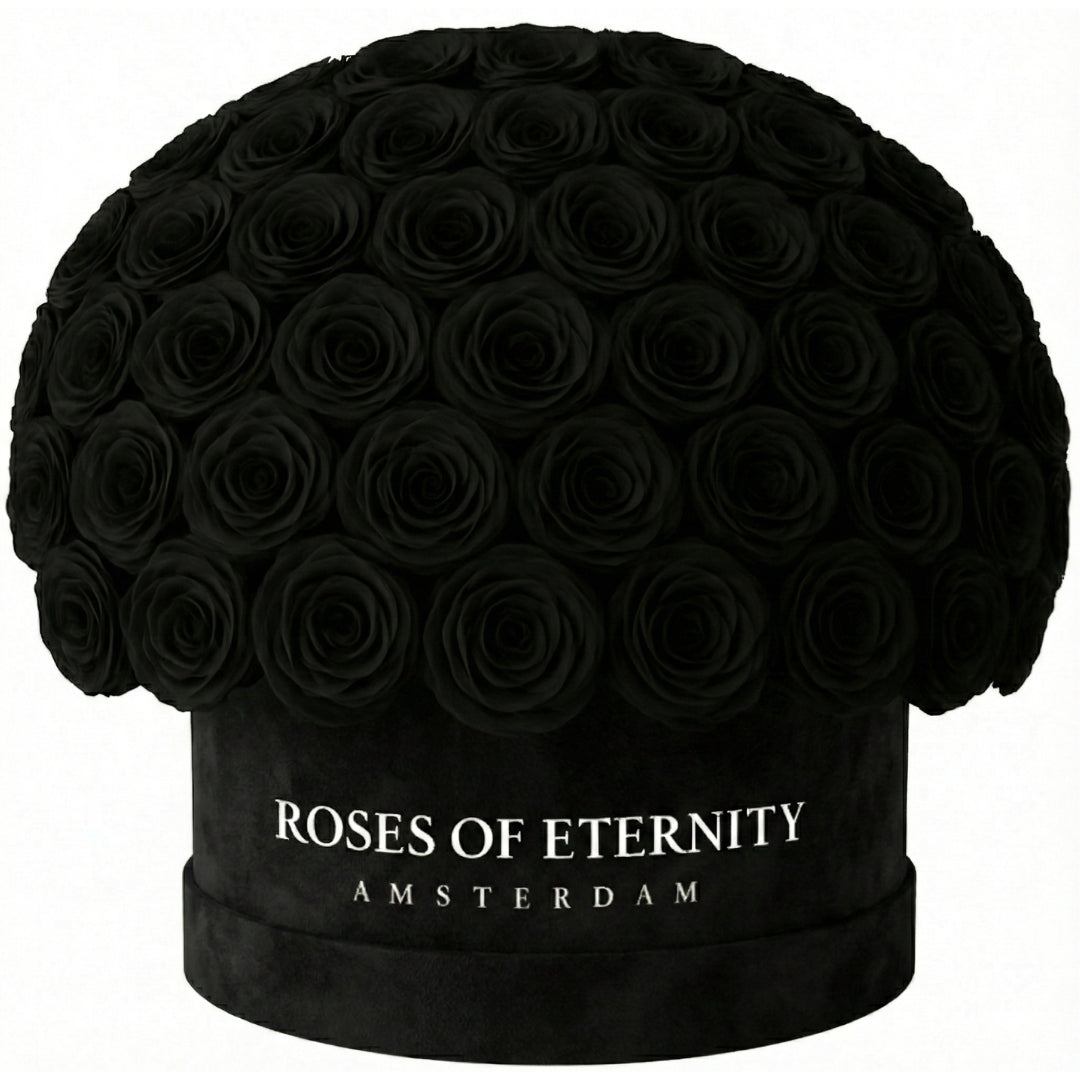 Infinite Promise (L)