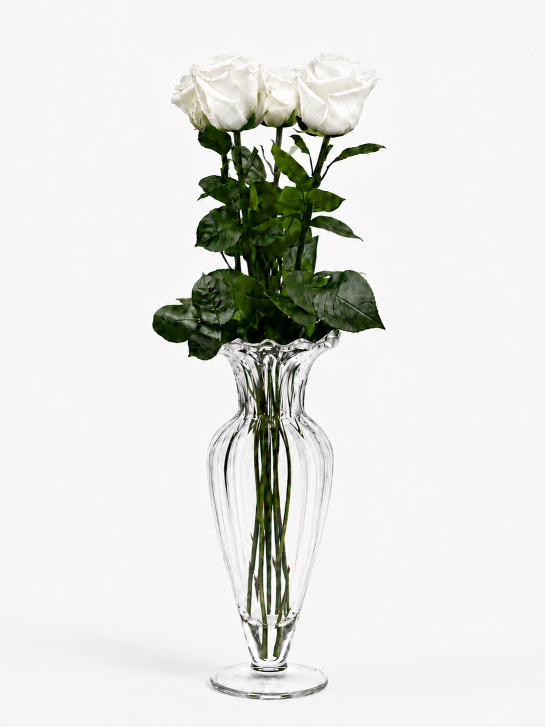 Eternity Roses ™